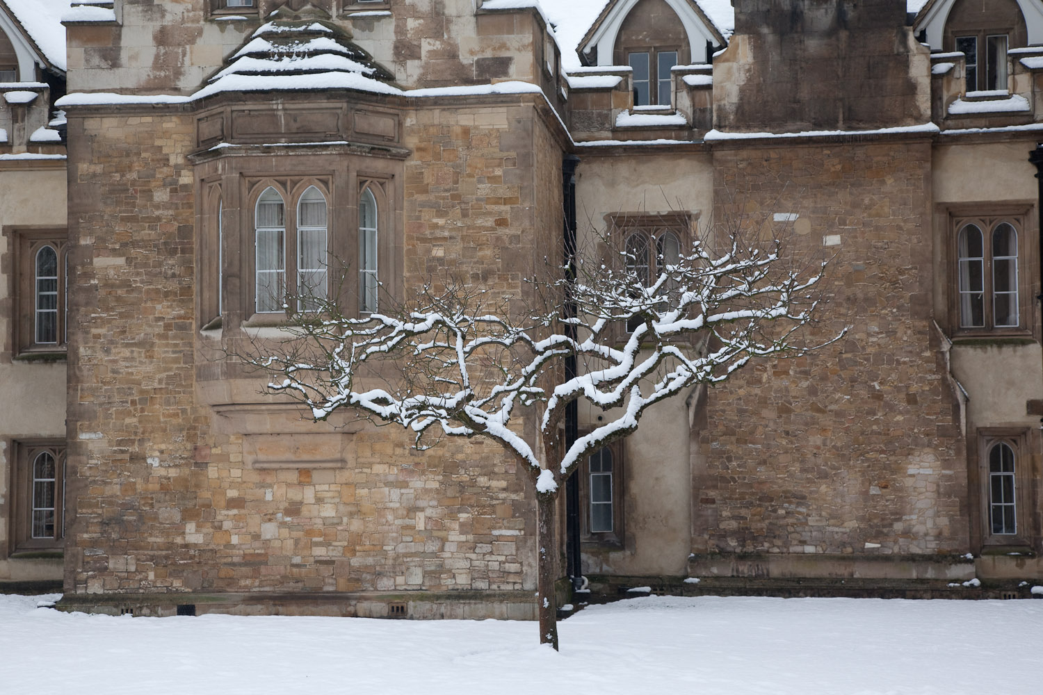 Cambridge in snow