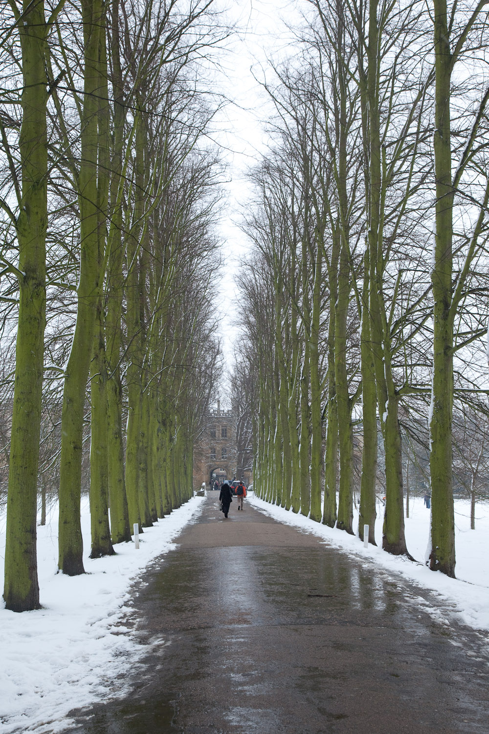 Cambridge in snow