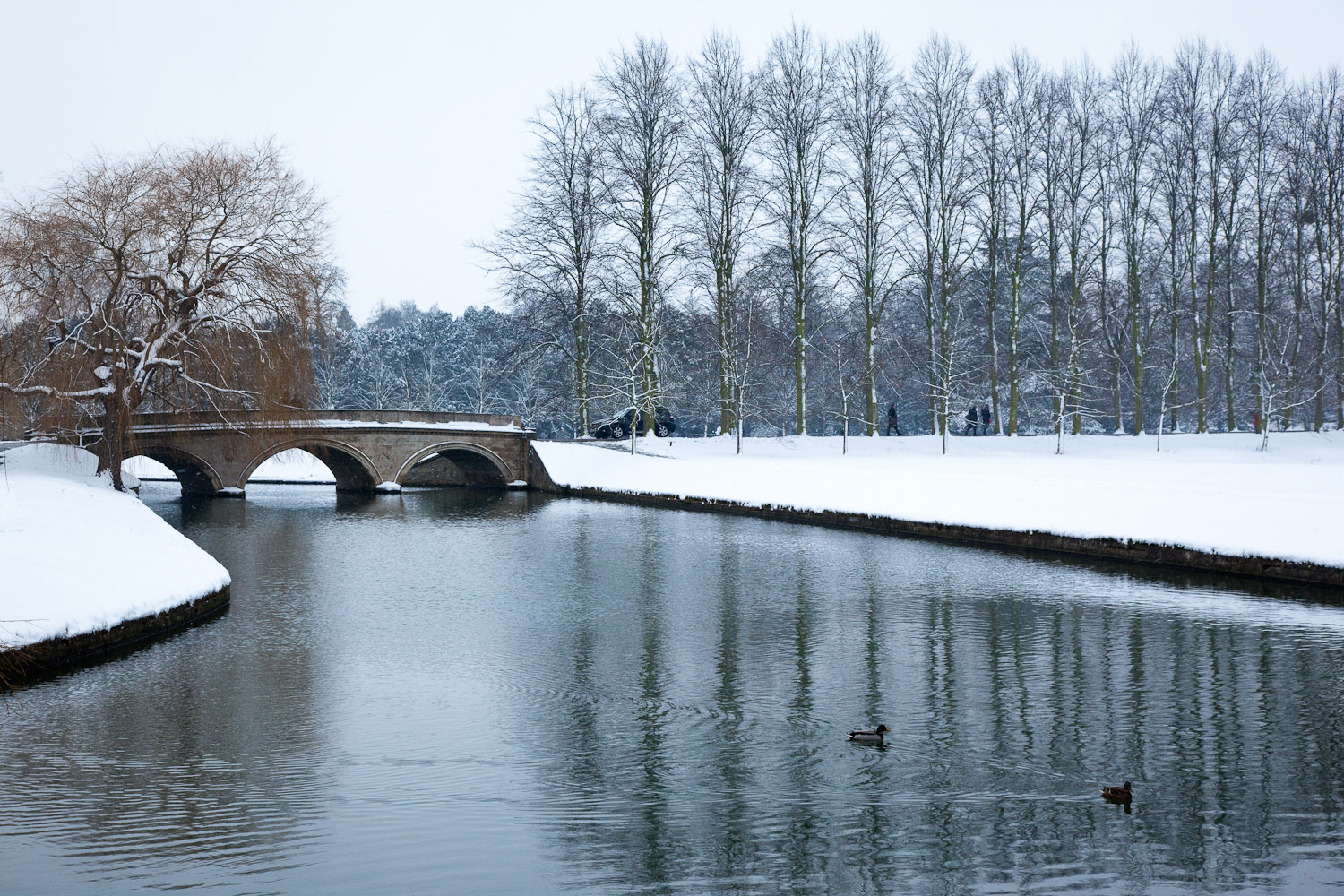 Cambridge in snow